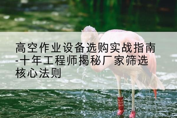 金凤剪叉式升降机厂家-高空作业设备选购实战指南-十年工程师揭秘厂家筛选核心法则