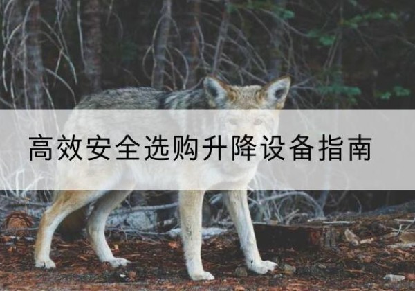 金凤升降货梯厂家推荐-*安全选购升降设备指南