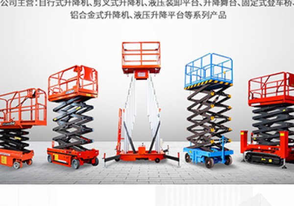 金凤​出口成为核心增长引擎