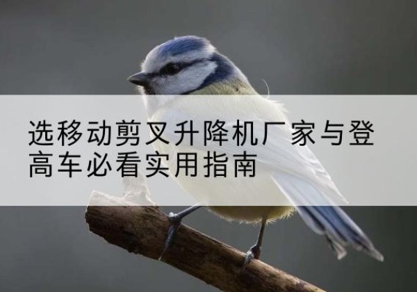 金凤电动升降机厂家-选移动剪叉升降机厂家与登高车必看实用指南