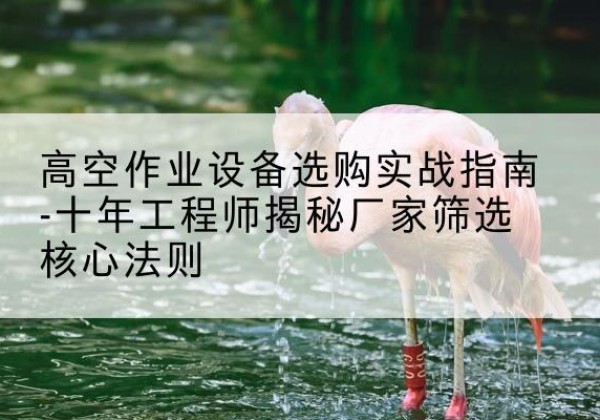 金凤剪叉式升降机厂家-高空作业设备选购实战指南-十年工程师揭秘厂家筛选核心法则